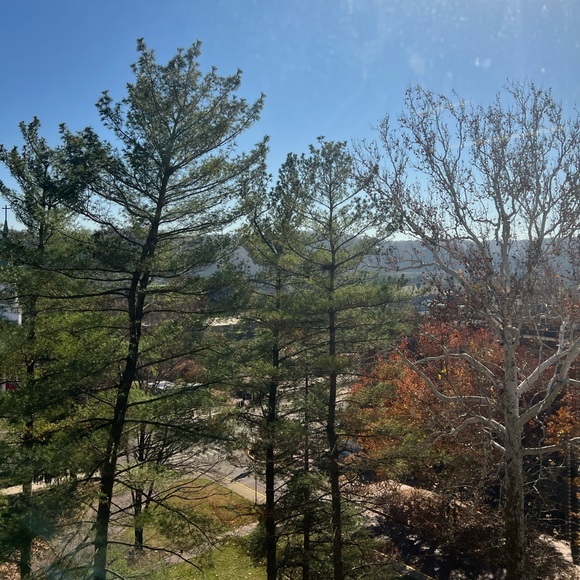 Meet your Posher, Jenny - Picture 1 of 1